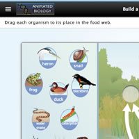 Science eLearning solution for schools